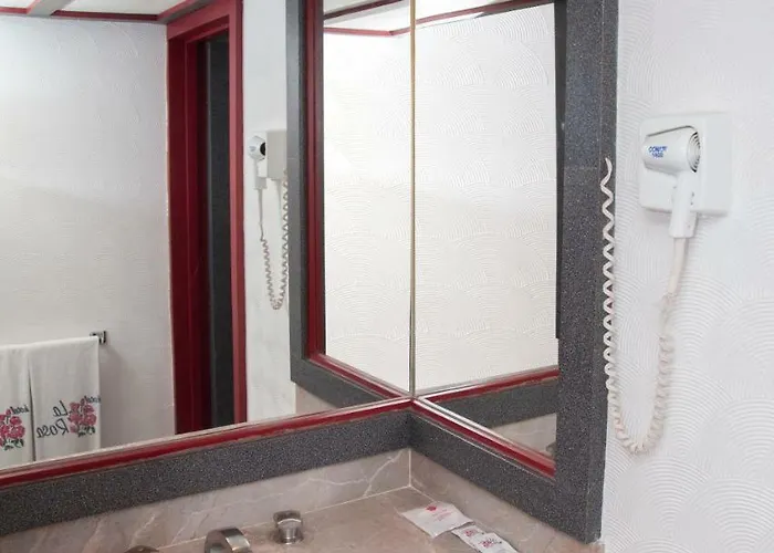 Hotel La Rosa - Solo Adultos